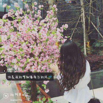 欢迎使用乐鱼App截图